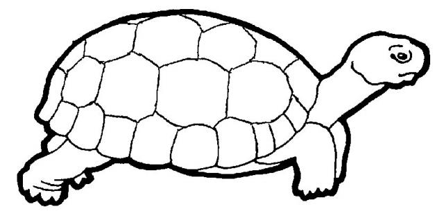 Disegno da colorare: Tartaruga (Animali) #13394 - Pagine da Colorare Stampabili Gratuite