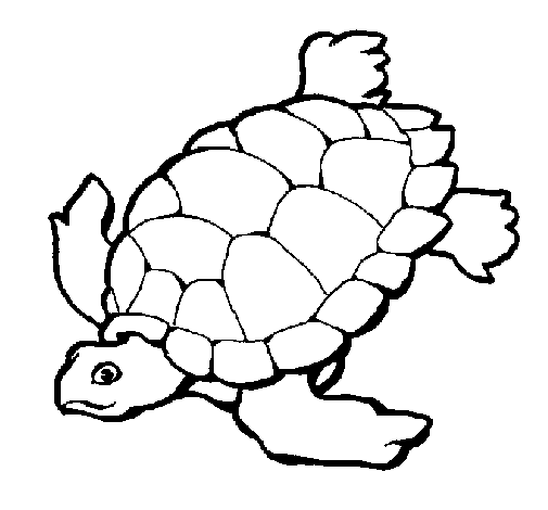 Disegno da colorare: Tartaruga (Animali) #13412 - Pagine da Colorare Stampabili Gratuite