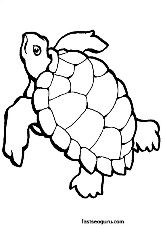 Disegno da colorare: Tartaruga (Animali) #13429 - Pagine da Colorare Stampabili Gratuite