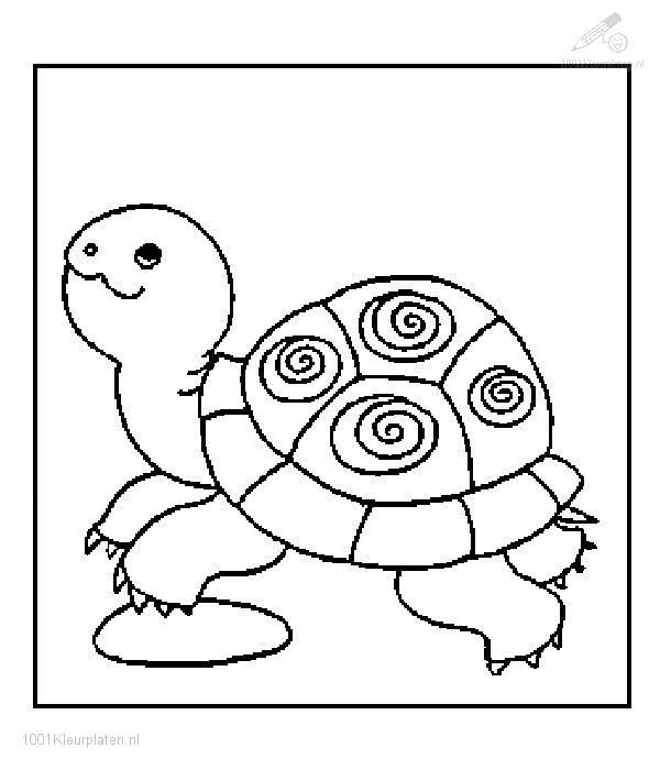 Disegno da colorare: Tartaruga (Animali) #13432 - Pagine da Colorare Stampabili Gratuite