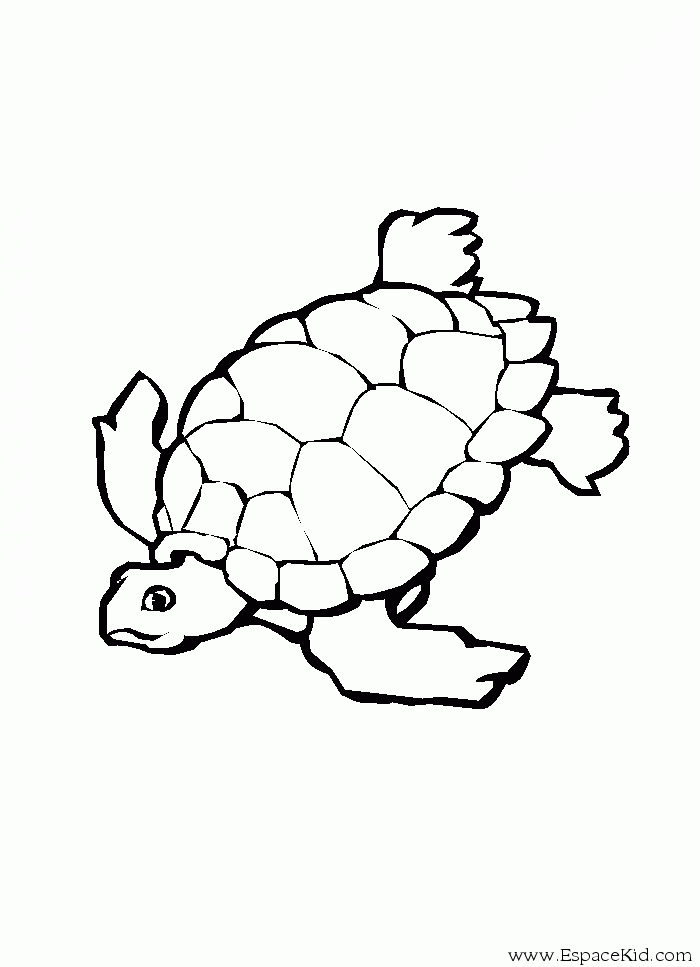 Disegno da colorare: Tartaruga (Animali) #13433 - Pagine da Colorare Stampabili Gratuite