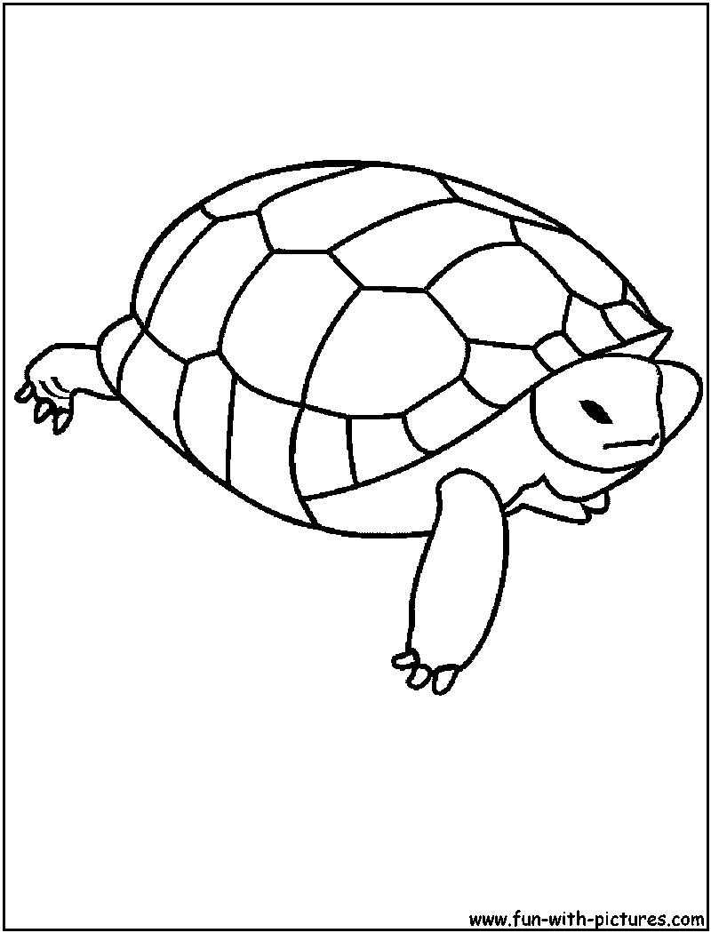 Disegno da colorare: Tartaruga (Animali) #13436 - Pagine da Colorare Stampabili Gratuite