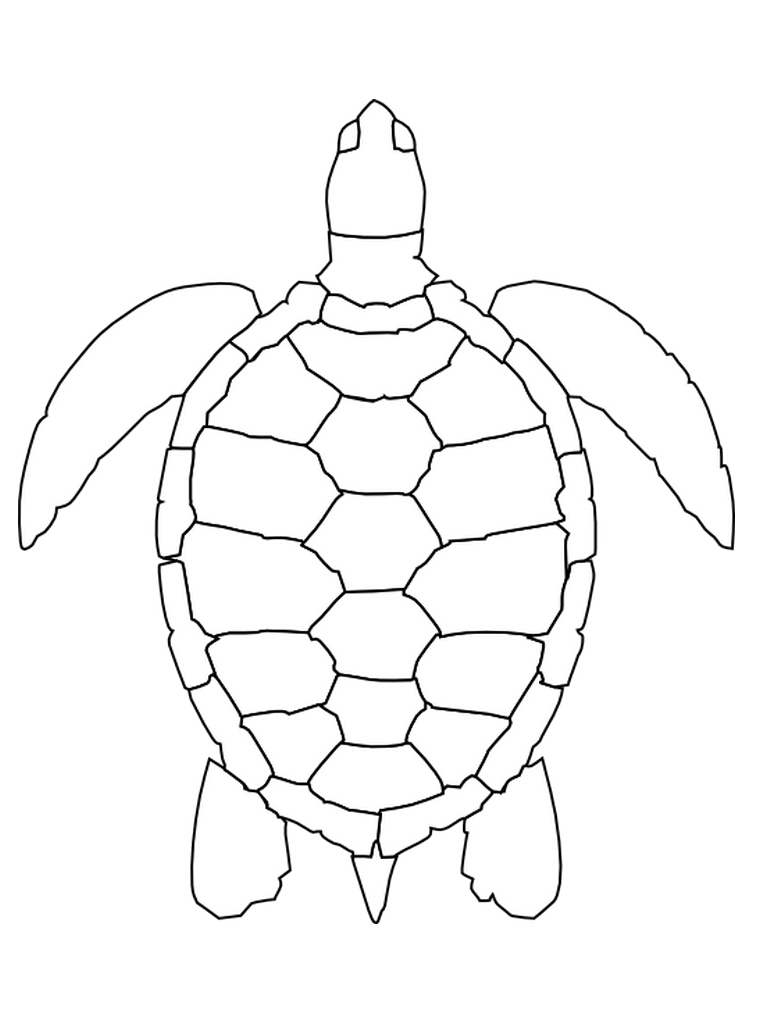 Disegno da colorare: Tartaruga (Animali) #13467 - Pagine da Colorare Stampabili Gratuite