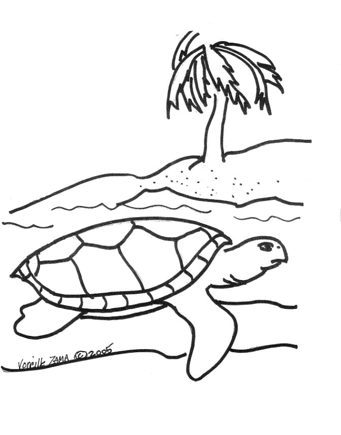 Disegno da colorare: Tartaruga (Animali) #13469 - Pagine da Colorare Stampabili Gratuite