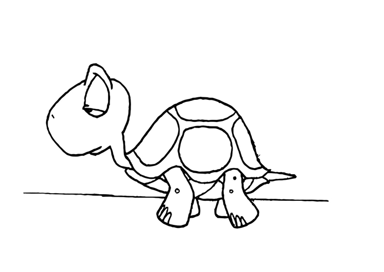 Disegno da colorare: Tartaruga (Animali) #13490 - Pagine da Colorare Stampabili Gratuite