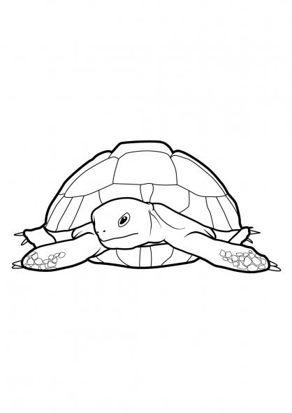 Disegno da colorare: Tartaruga (Animali) #13507 - Pagine da Colorare Stampabili Gratuite