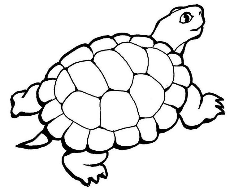 Disegno da colorare: Tartaruga (Animali) #13514 - Pagine da Colorare Stampabili Gratuite