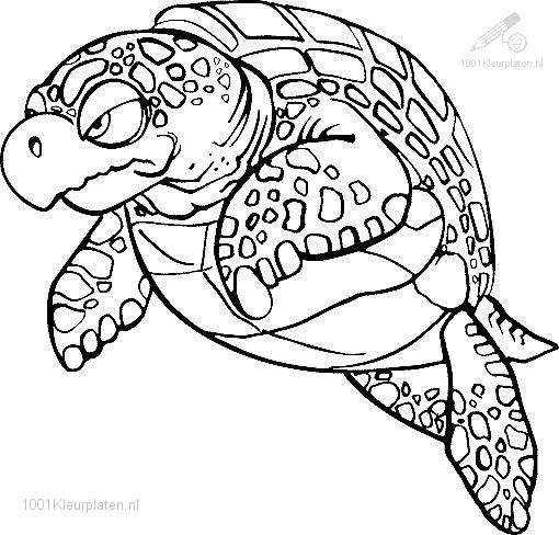 Disegno da colorare: Tartaruga (Animali) #13536 - Pagine da Colorare Stampabili Gratuite