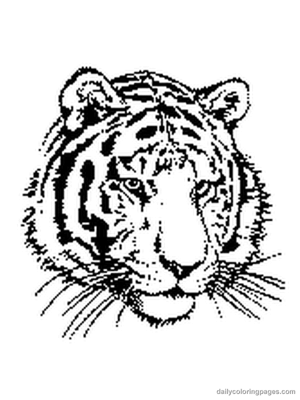 Disegno da colorare: Tigre (Animali) #13592 - Pagine da Colorare Stampabili Gratuite