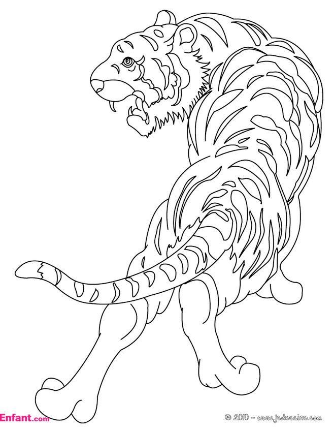 Disegno da colorare: Tigre (Animali) #13600 - Pagine da Colorare Stampabili Gratuite