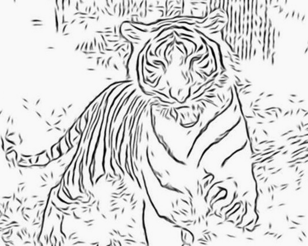 Disegno da colorare: Tigre (Animali) #13606 - Pagine da Colorare Stampabili Gratuite