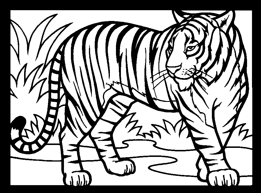 Disegno da colorare: Tigre (Animali) #13615 - Pagine da Colorare Stampabili Gratuite
