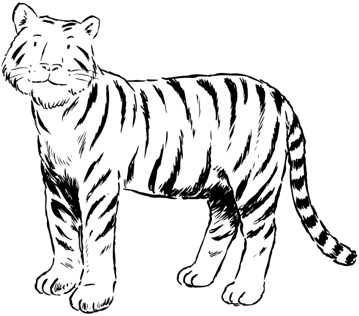 Disegno da colorare: Tigre (Animali) #13621 - Pagine da Colorare Stampabili Gratuite