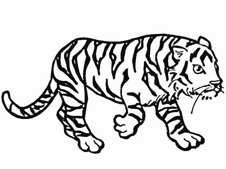 Disegno da colorare: Tigre (Animali) #13629 - Pagine da Colorare Stampabili Gratuite