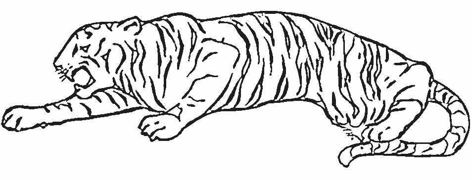 Disegno da colorare: Tigre (Animali) #13637 - Pagine da Colorare Stampabili Gratuite