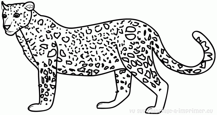 Disegno da colorare: Tigre (Animali) #13649 - Pagine da Colorare Stampabili Gratuite