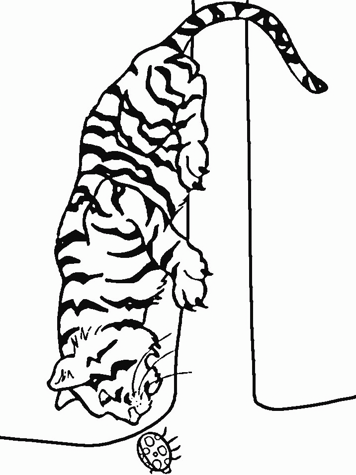 Disegno da colorare: Tigre (Animali) #13651 - Pagine da Colorare Stampabili Gratuite