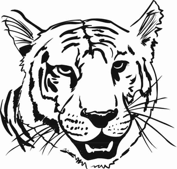 Disegno da colorare: Tigre (Animali) #13666 - Pagine da Colorare Stampabili Gratuite