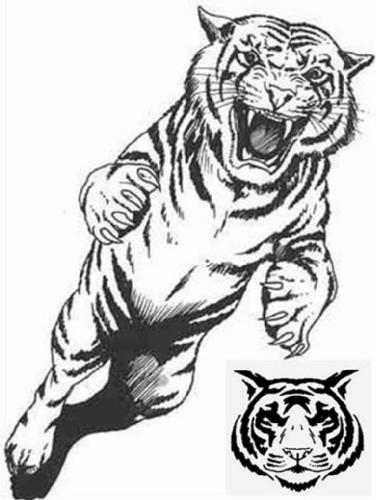 Disegno da colorare: Tigre (Animali) #13672 - Pagine da Colorare Stampabili Gratuite