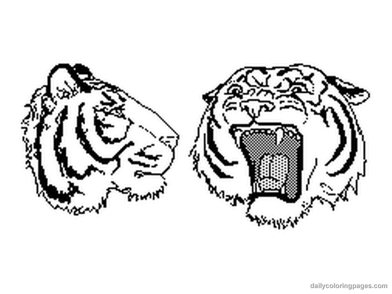 Disegno da colorare: Tigre (Animali) #13697 - Pagine da Colorare Stampabili Gratuite