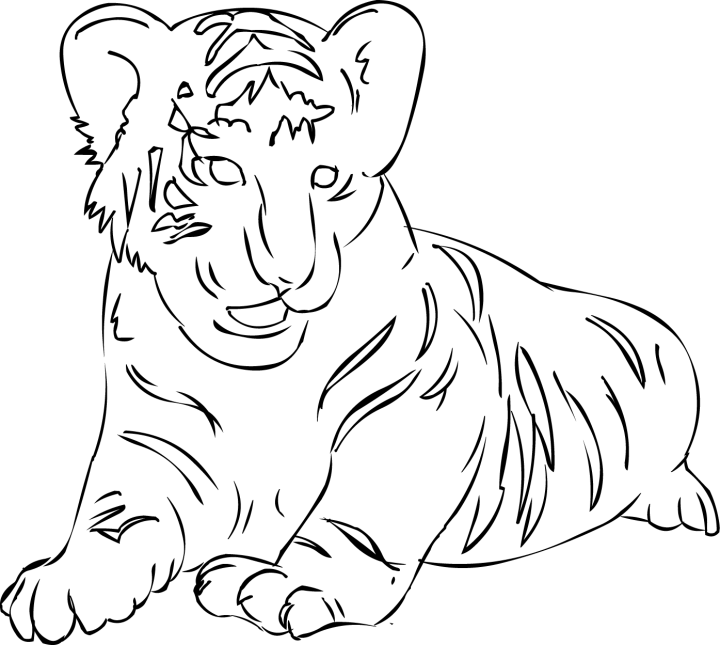 Disegno da colorare: Tigre (Animali) #13701 - Pagine da Colorare Stampabili Gratuite