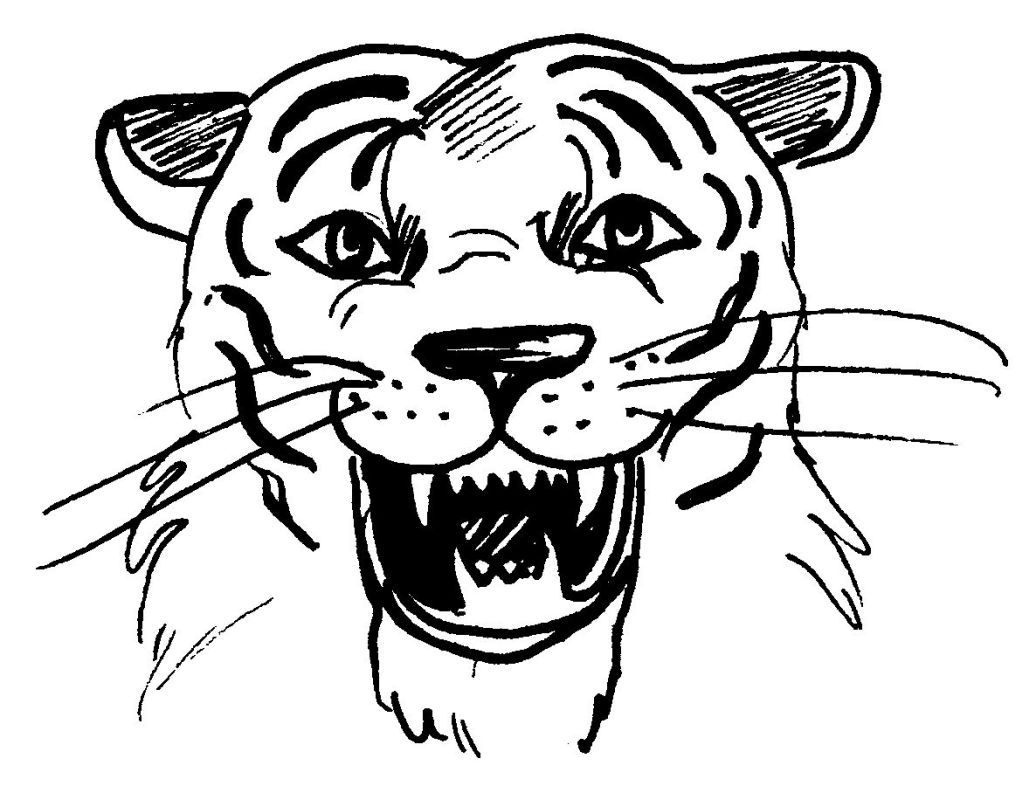Disegno da colorare: Tigre (Animali) #13716 - Pagine da Colorare Stampabili Gratuite