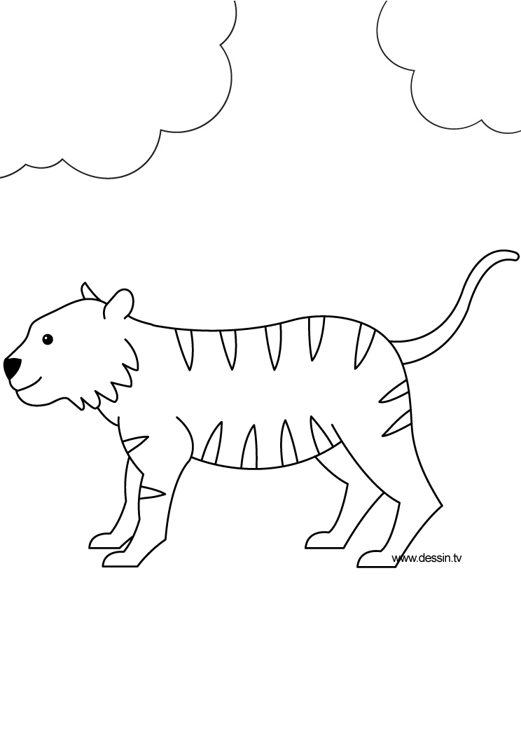 Disegno da colorare: Tigre (Animali) #13733 - Pagine da Colorare Stampabili Gratuite