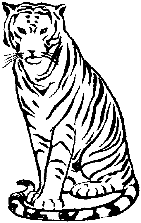 Disegno da colorare: Tigre (Animali) #13736 - Pagine da Colorare Stampabili Gratuite