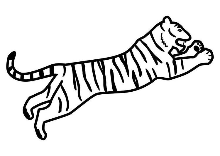 Disegno da colorare: Tigre (Animali) #13780 - Pagine da Colorare Stampabili Gratuite