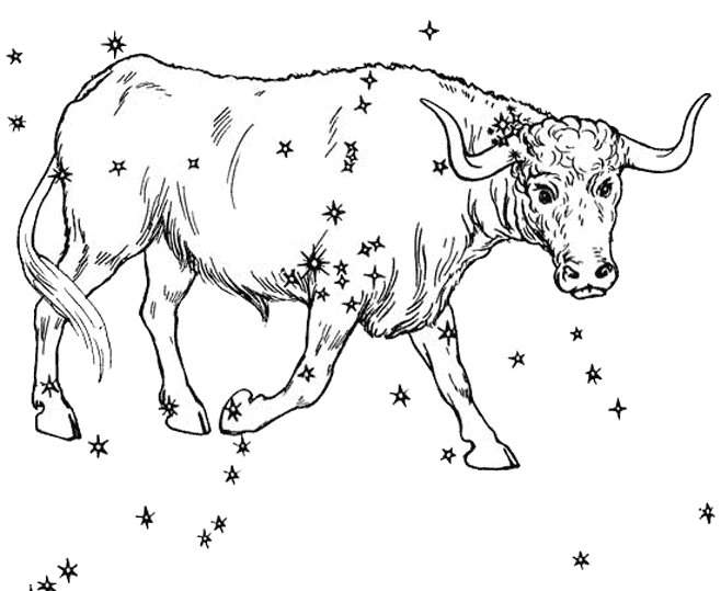 Disegno da colorare: Toro (Animali) #13791 - Pagine da Colorare Stampabili Gratuite