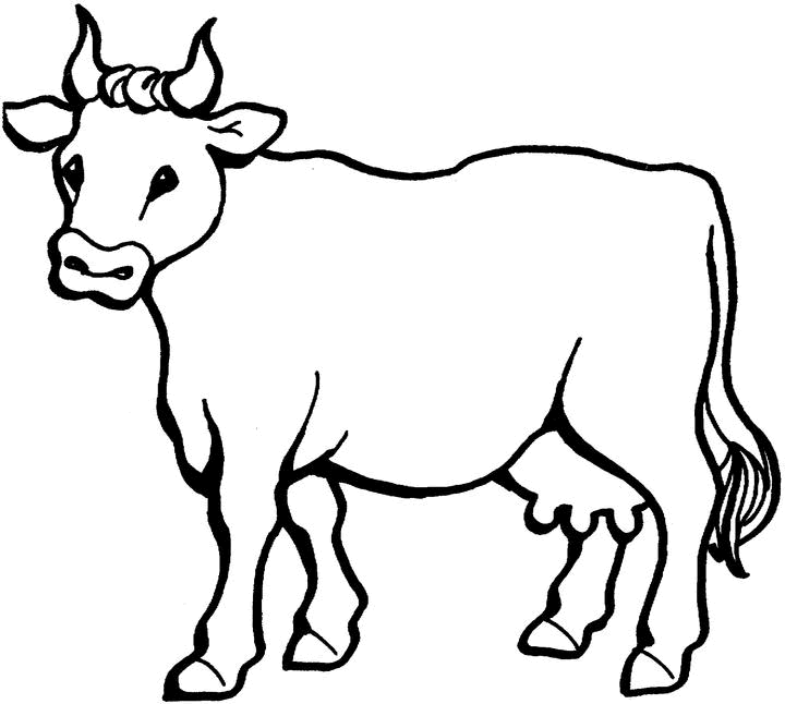 Disegno da colorare: Toro (Animali) #13806 - Pagine da Colorare Stampabili Gratuite