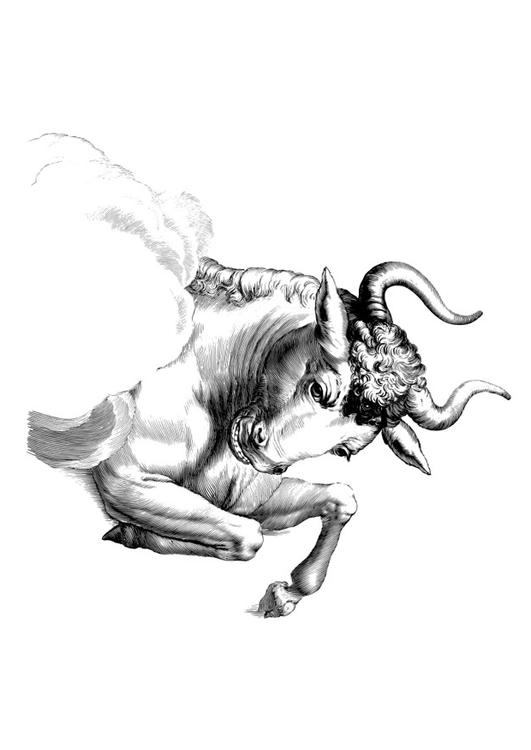 Disegno da colorare: Toro (Animali) #13808 - Pagine da Colorare Stampabili Gratuite