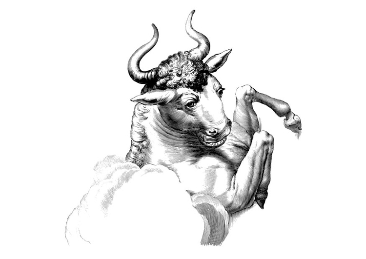 Disegno da colorare: Toro (Animali) #13823 - Pagine da Colorare Stampabili Gratuite