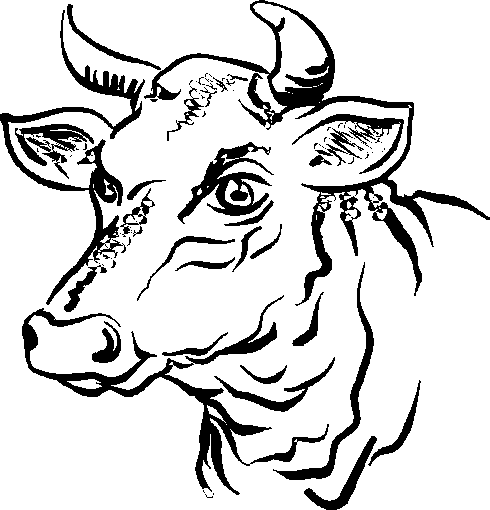 Disegno da colorare: Toro (Animali) #13845 - Pagine da Colorare Stampabili Gratuite