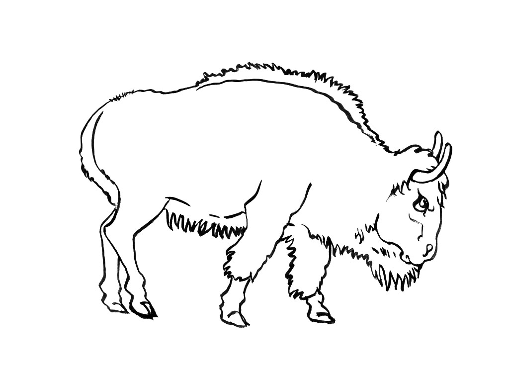 Disegno da colorare: Toro (Animali) #13855 - Pagine da Colorare Stampabili Gratuite