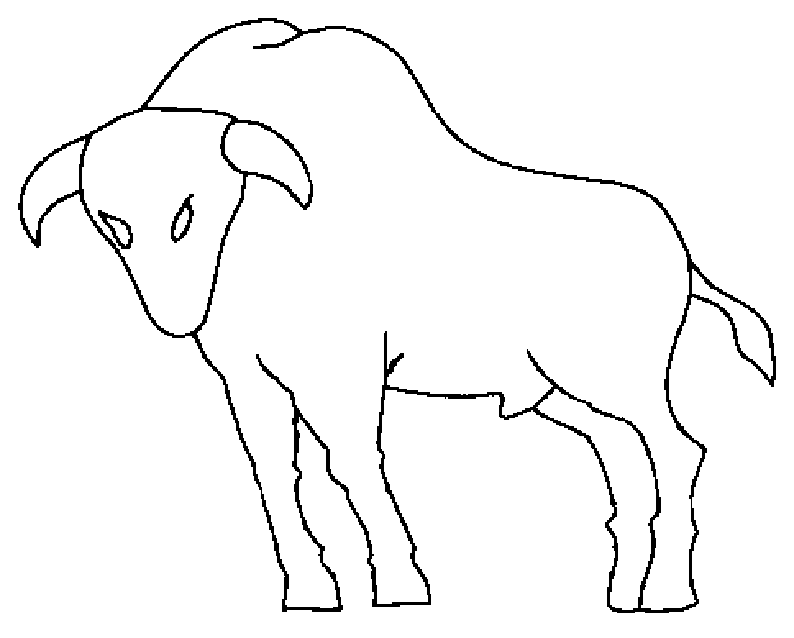 Disegno da colorare: Toro (Animali) #13910 - Pagine da Colorare Stampabili Gratuite