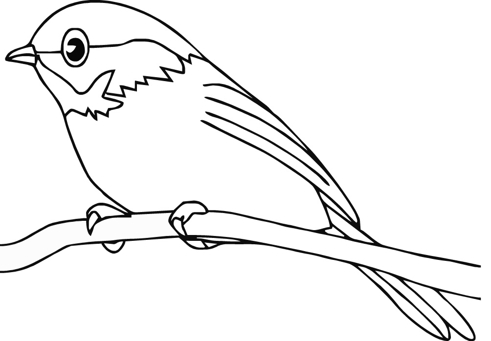 Disegno da colorare: Uccelli (Animali) #11840 - Pagine da Colorare Stampabili Gratuite