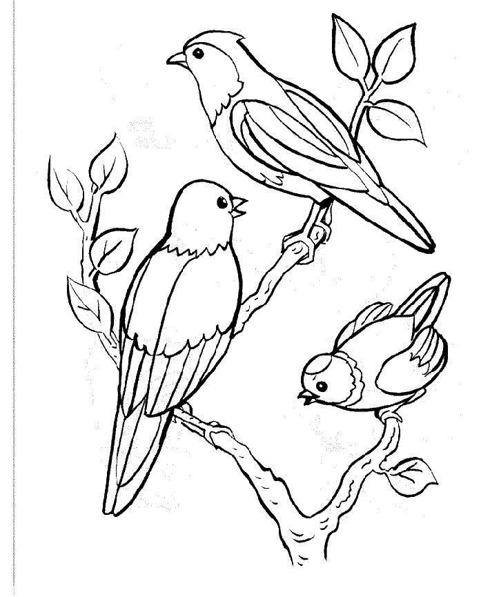 Disegno da colorare: Uccelli (Animali) #11841 - Pagine da Colorare Stampabili Gratuite