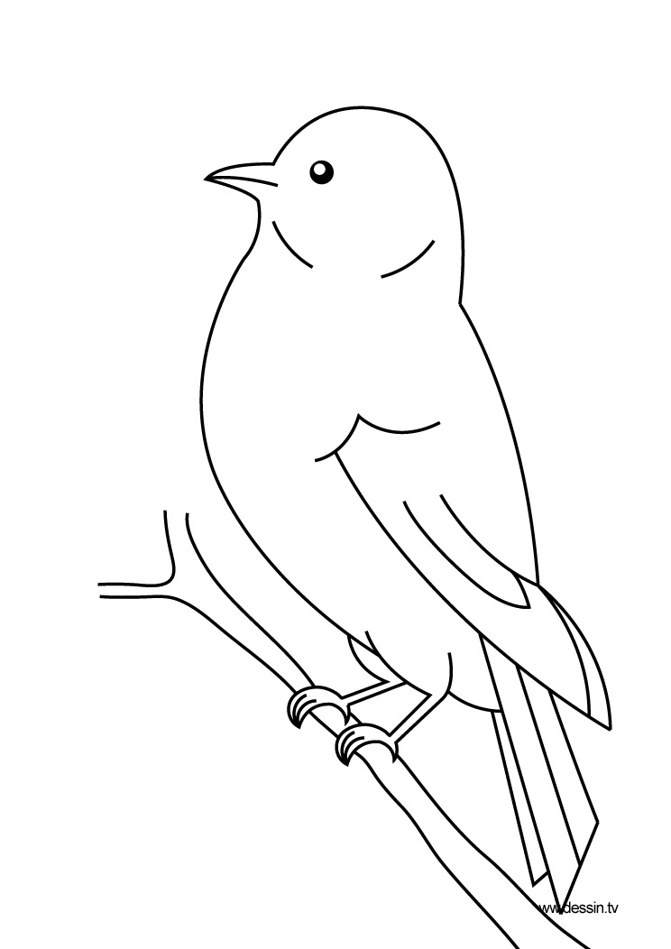 Disegno da colorare: Uccelli (Animali) #11844 - Pagine da Colorare Stampabili Gratuite