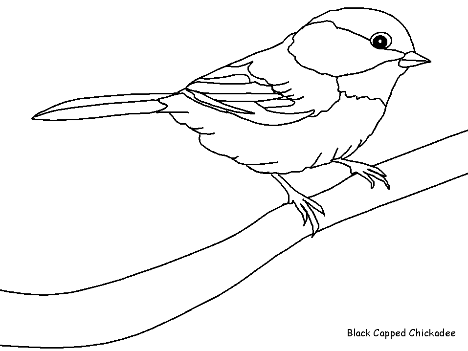 Disegno da colorare: Uccelli (Animali) #11845 - Pagine da Colorare Stampabili Gratuite