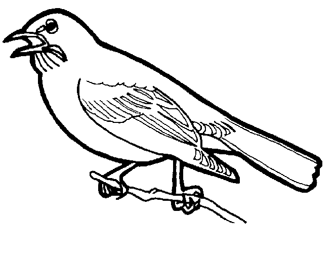 Disegno da colorare: Uccelli (Animali) #11853 - Pagine da Colorare Stampabili Gratuite
