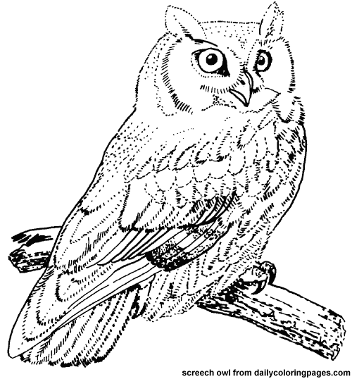 Disegno da colorare: Uccelli (Animali) #11855 - Pagine da Colorare Stampabili Gratuite