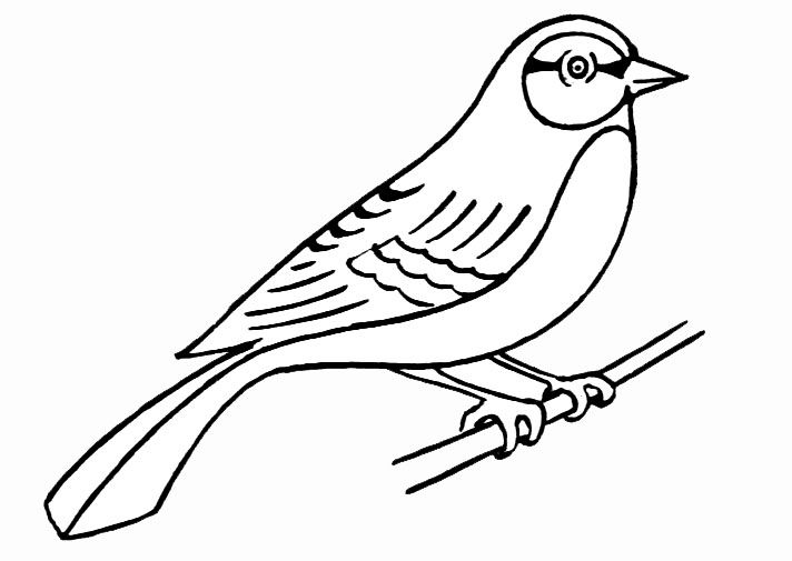 Disegno da colorare: Uccelli (Animali) #11861 - Pagine da Colorare Stampabili Gratuite