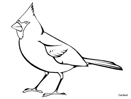 Disegno da colorare: Uccelli (Animali) #11870 - Pagine da Colorare Stampabili Gratuite