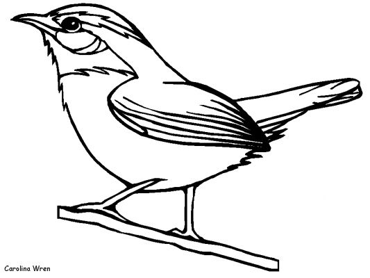 Disegno da colorare: Uccelli (Animali) #11882 - Pagine da Colorare Stampabili Gratuite