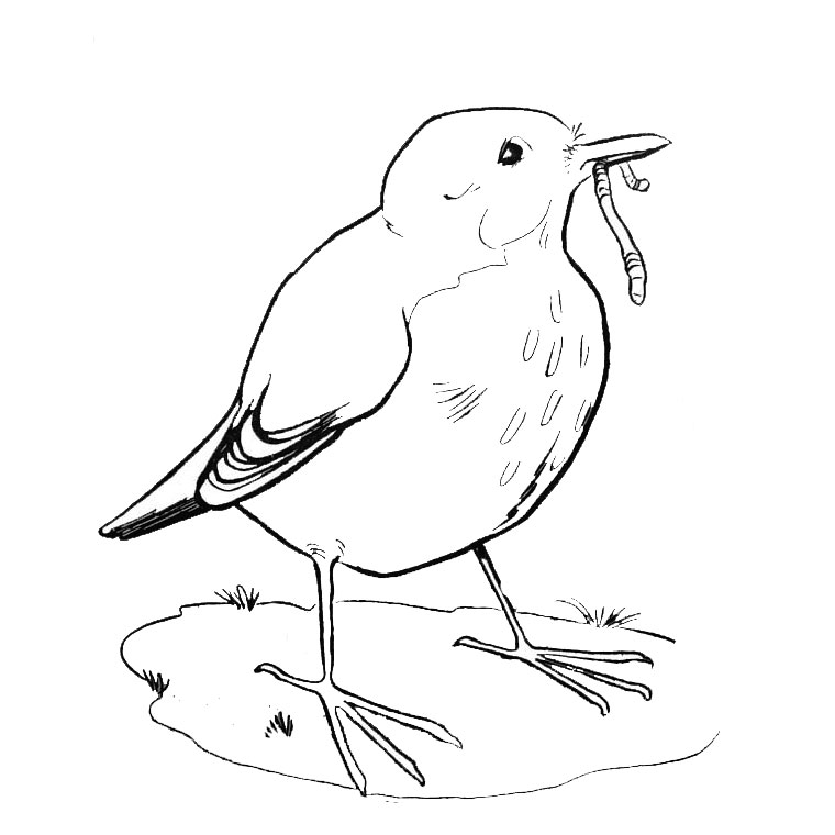Disegno da colorare: Uccelli (Animali) #11896 - Pagine da Colorare Stampabili Gratuite