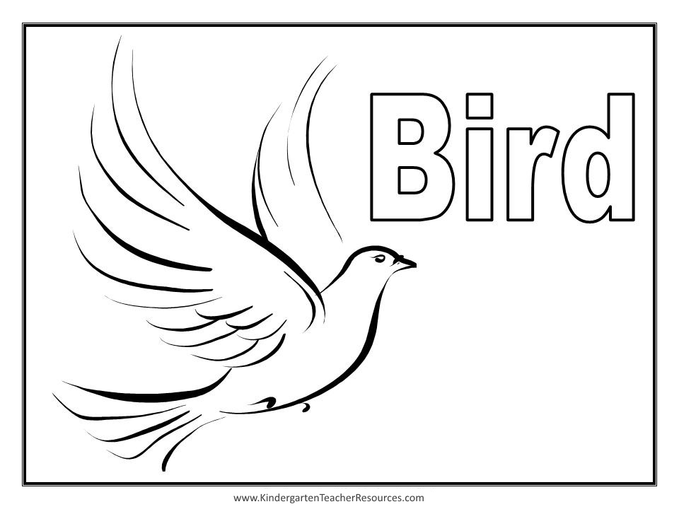 Disegno da colorare: Uccelli (Animali) #11907 - Pagine da Colorare Stampabili Gratuite