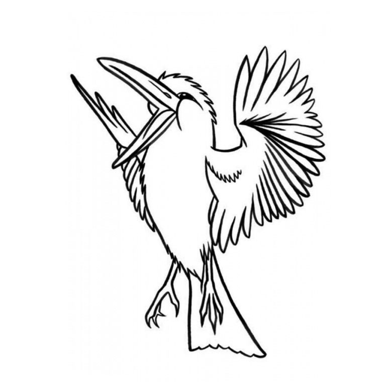 Disegno da colorare: Uccelli (Animali) #11911 - Pagine da Colorare Stampabili Gratuite