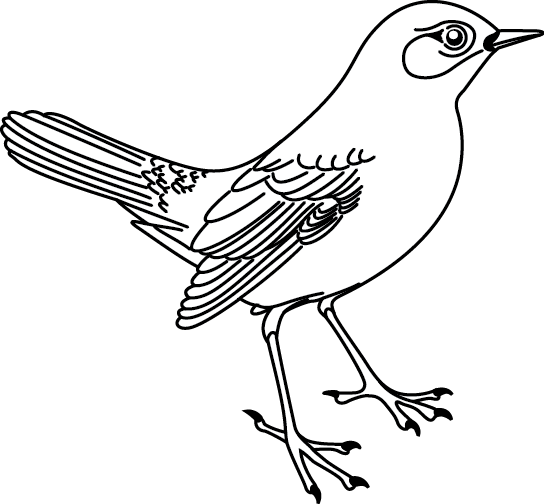 Disegno da colorare: Uccelli (Animali) #11913 - Pagine da Colorare Stampabili Gratuite