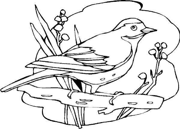 Disegno da colorare: Uccelli (Animali) #11921 - Pagine da Colorare Stampabili Gratuite